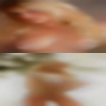 Couples wanting sex with