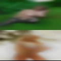 Nude count swingers
