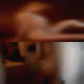 Swingers Tampa