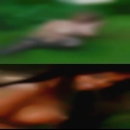 Northwest Ohio swingers clubs