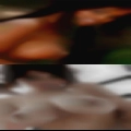 Sex swingers