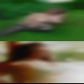 Prudenville, swingers