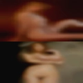 Adults swingers Toronto