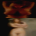 Penises swingers
