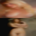 Plano sex swingers
