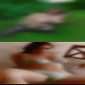 Where swingers West